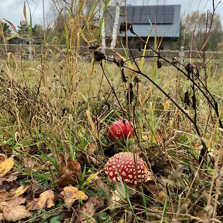 Semesterbostad Olpuchove Chwile Drewniany Dom Na Kaszubach